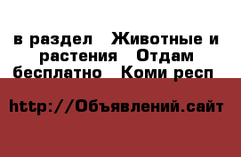  в раздел : Животные и растения » Отдам бесплатно . Коми респ.